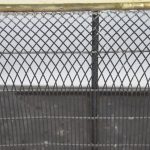 Georgian Nursery Guard